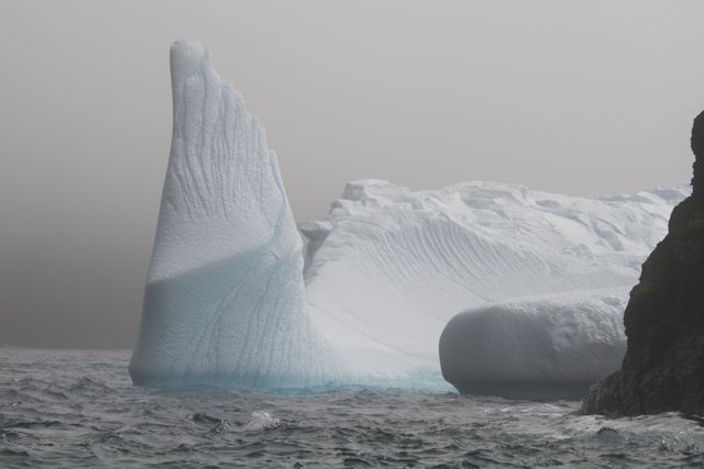 Iceberg by Gibbs Island